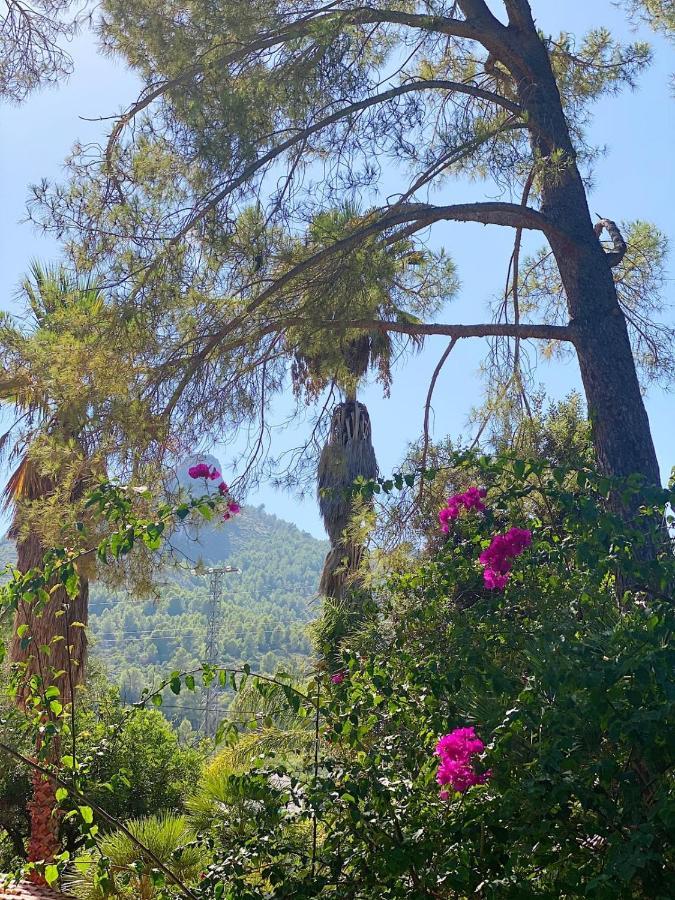 El Botanico De Sagra Ξενοδοχείο Εξωτερικό φωτογραφία