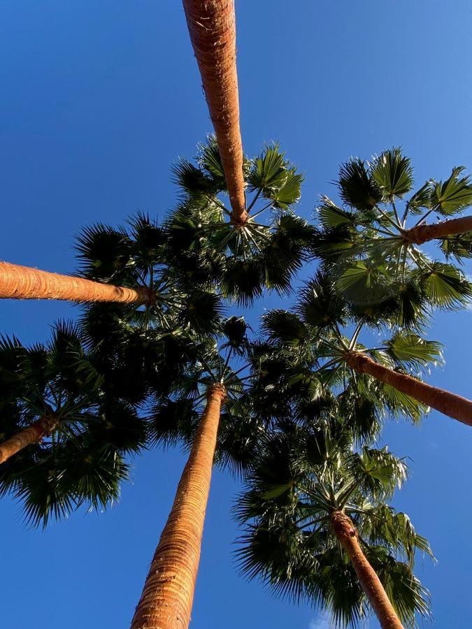El Botanico De Sagra Ξενοδοχείο Εξωτερικό φωτογραφία