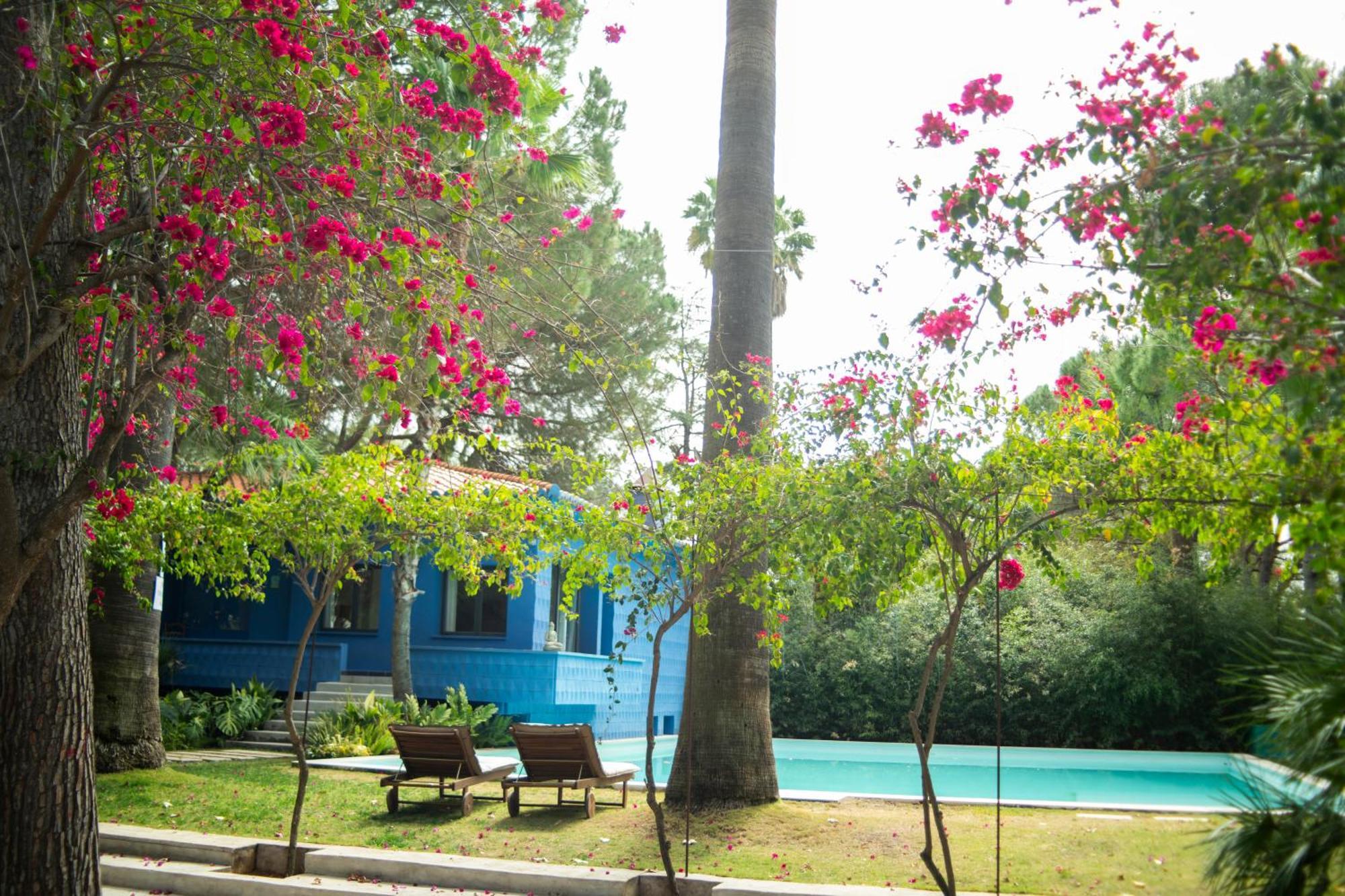 El Botanico De Sagra Ξενοδοχείο Εξωτερικό φωτογραφία