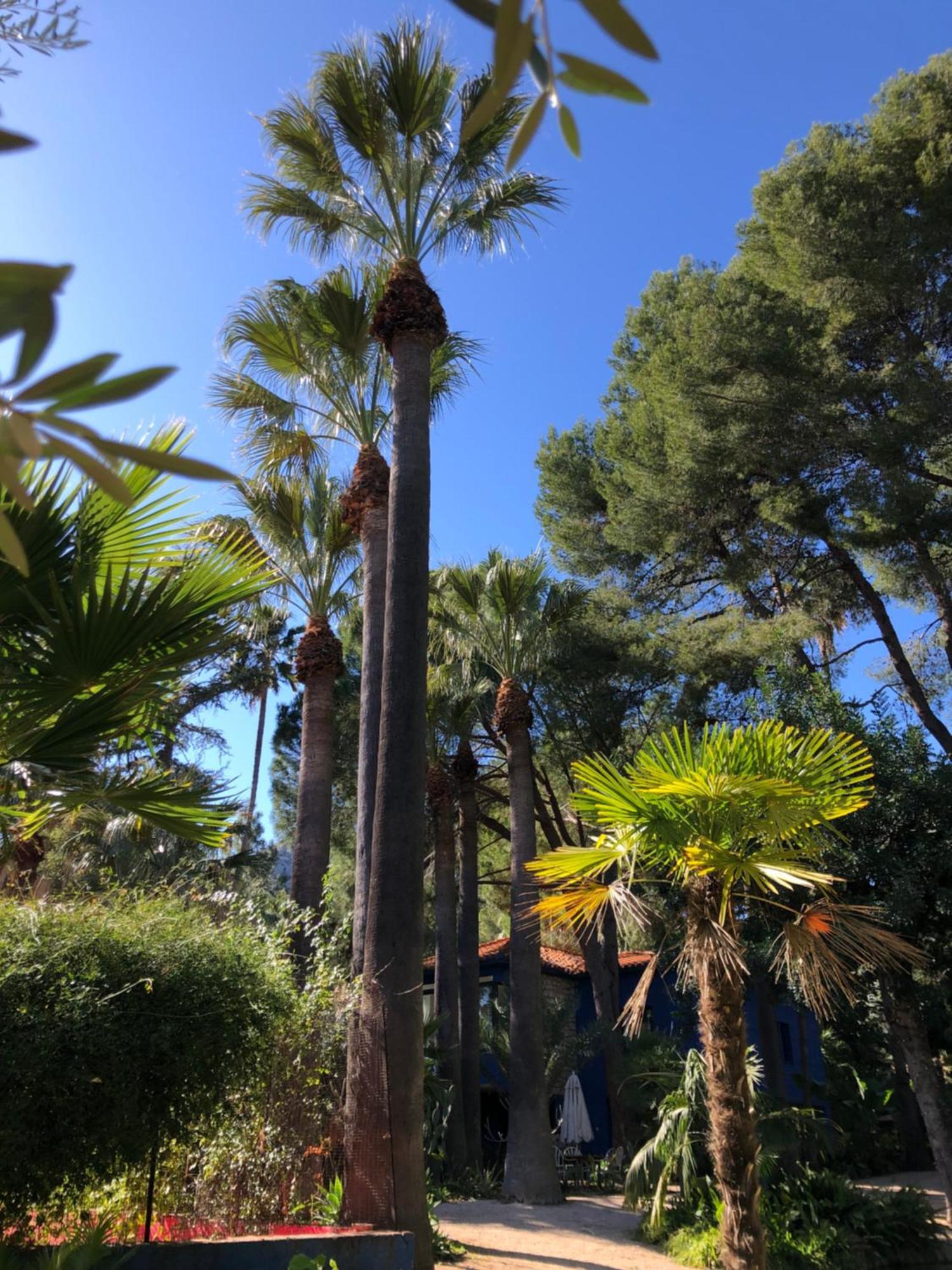 El Botanico De Sagra Ξενοδοχείο Εξωτερικό φωτογραφία