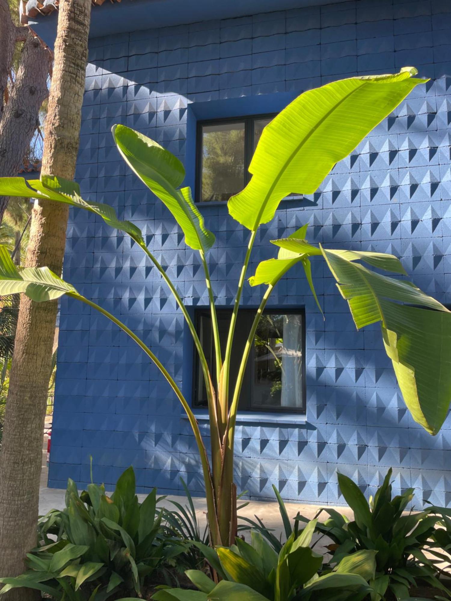El Botanico De Sagra Ξενοδοχείο Εξωτερικό φωτογραφία