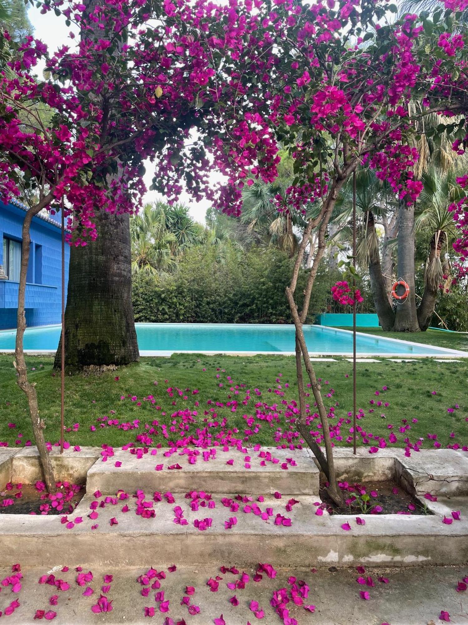 El Botanico De Sagra Ξενοδοχείο Εξωτερικό φωτογραφία